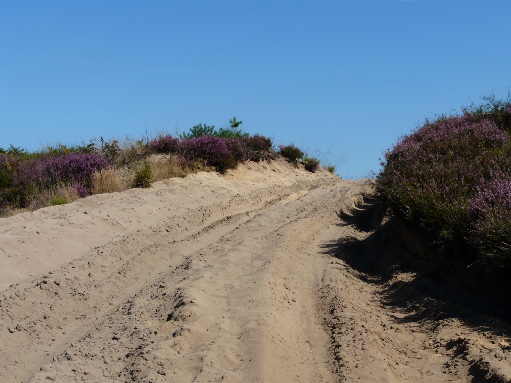 Wahner Heide