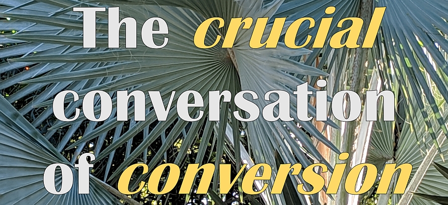 The Crucial Conversation of Conversion