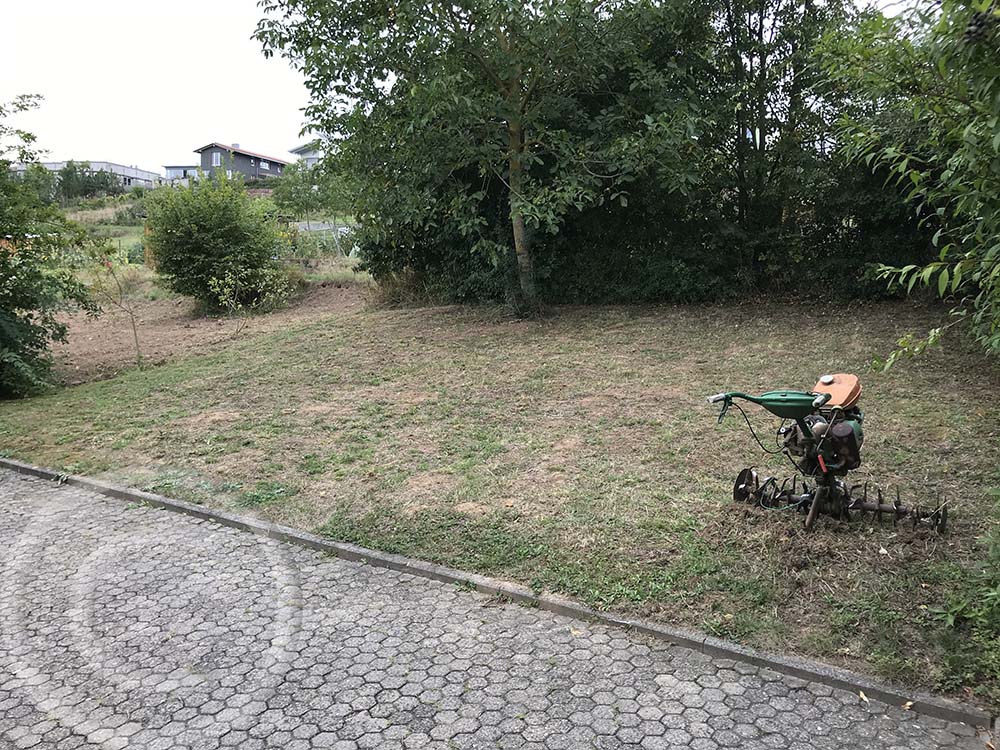 Mähen, abräumen, 2-3x  fräsen, einsäen, anwalzen - das sind die Schritte bei der umbruchlosen Ansaat (05.09.2020)