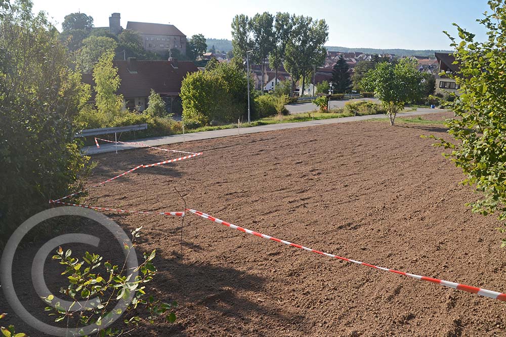 Einsaat Wildblumenwiese + Säume: Die Flächen wurden unterteilt, um unterschiedliche Mischungen auszusäen (13.09.2020) 