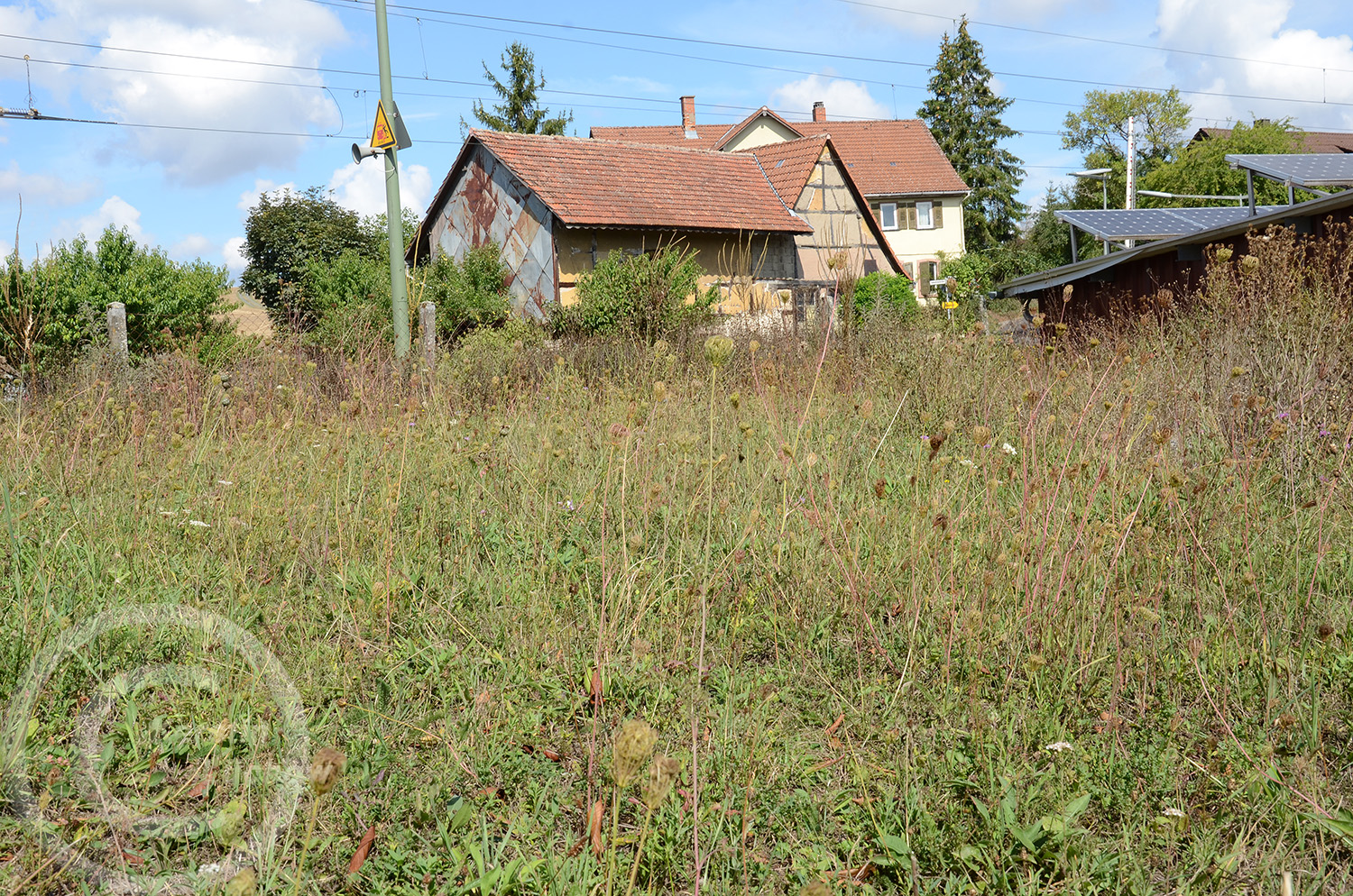 Anfang September , nach einem trockenen Sommer und kurz vor der Mahd. Auch diese Wiesenbilder sind Realität (02.09.2020)