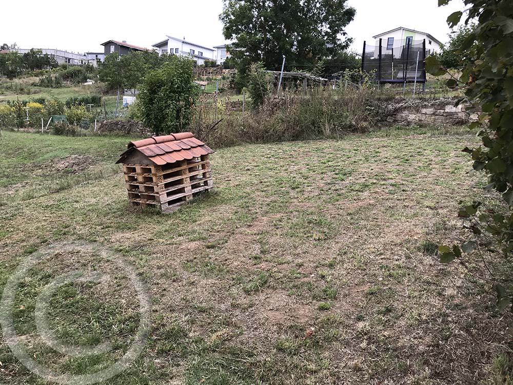 Der Altgrasbestand wurde so tief wie möglich gemäht, das Mahdgut abtransportiert (05.09.2020)