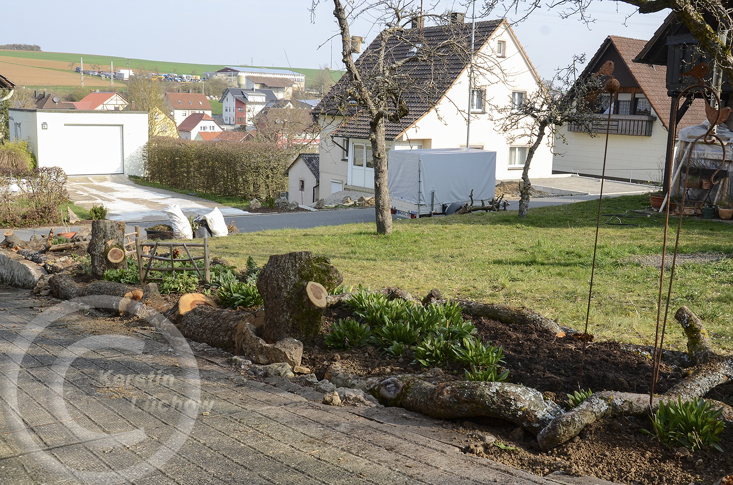 Die ersten Wildpflanzen ziehen um. Sie wuchsen wild in den Gemüsebeeten und bekamen hier einen neuen Standort. Auch Wildpflanzen aus meinem alten Totholzbeet im Heilbronner Garten zogen um. 