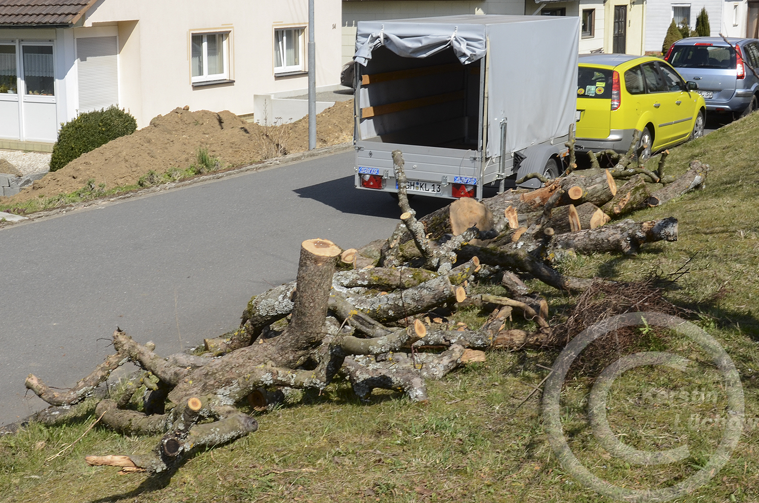 2019 beginnen die Vorbereitungen. Alle Laubholz-Stämme stammen aus der Umgebung. 