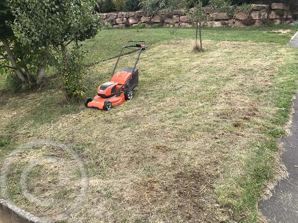 Nach dem Mähen und Abräumen wird mehrmals gefräst, um die alte Grasnarbe aufzureißen (05.09.2020)