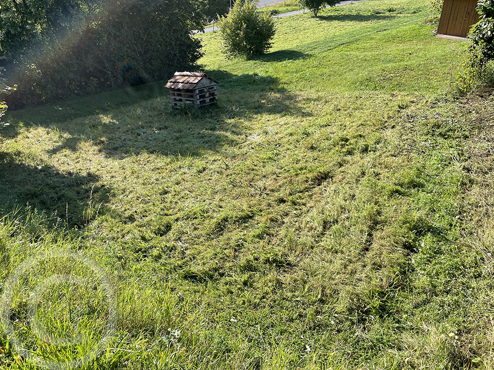 Die zweite Mahd ist fertig, es wurde sauber abgeräumt (12.09.2021)