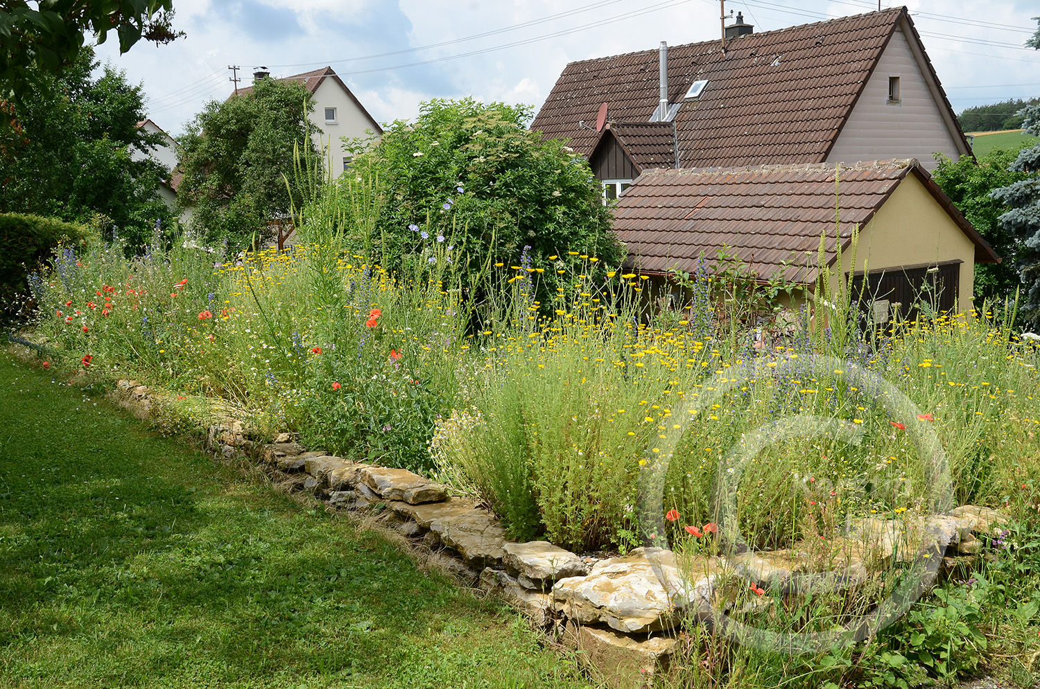 Blick von außen auf die Gartengrenze (Ende Juni).