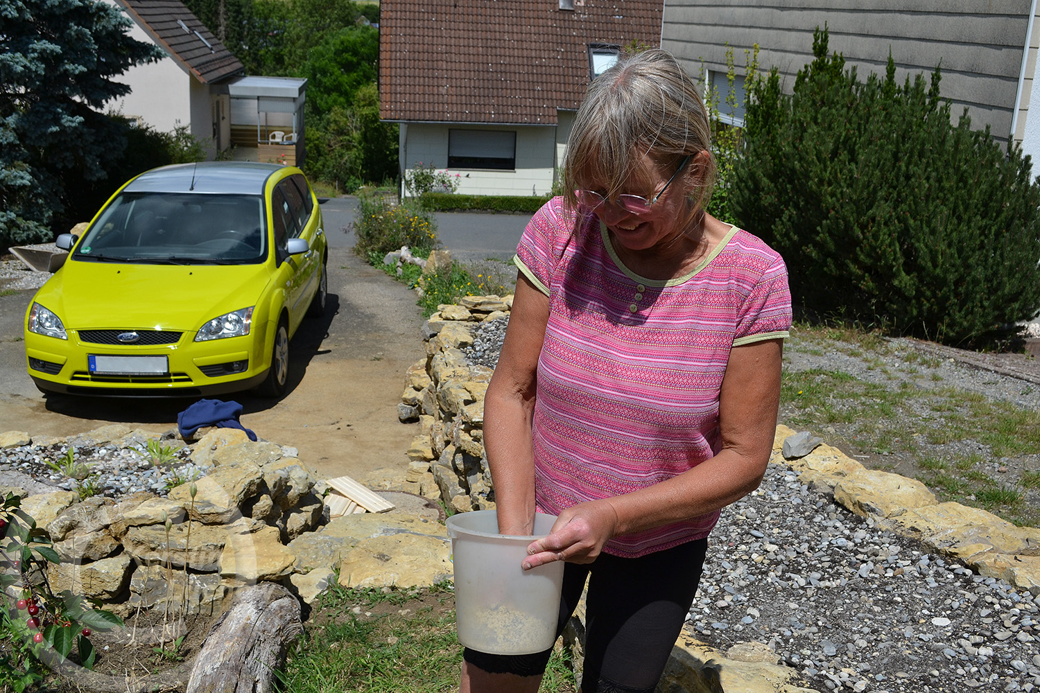 Ende Juni 2020 war es soweit, wir konnten Wildblumen säen. 