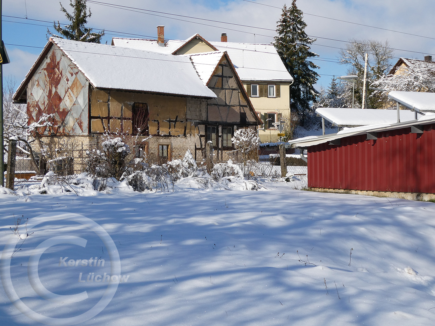 Winterbild Blumenwiese (11.02.2020)