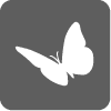 Icon Logodesign: Ihr Aushängeschild