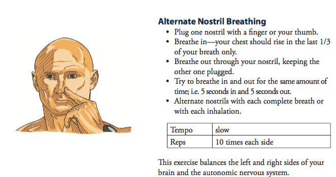 An illustration on how to perform alternate nostril breathing