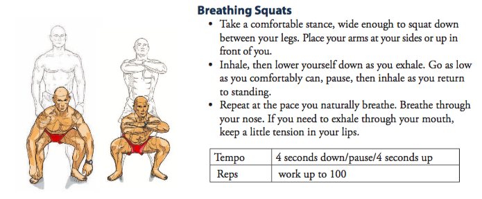 A pictorial illustration on how to perform a breathing squat