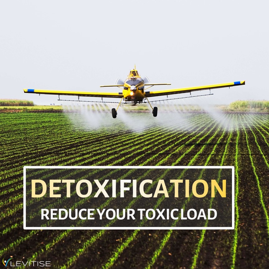 Upgrade Your Health by Reducing Your Toxic Load - Part 3: Detoxification