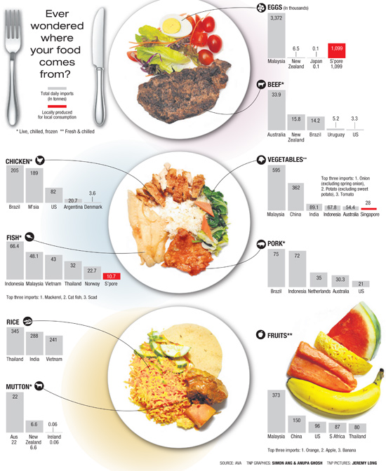 Infographic that shows which country's Singapore's food comes from 