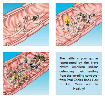 The battle in your gut - don't wipe out your defence with 'friendly fire'!