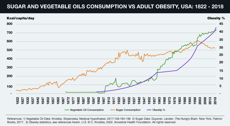 As the consumption of vegetable seed oils rises so does the obesity rate.