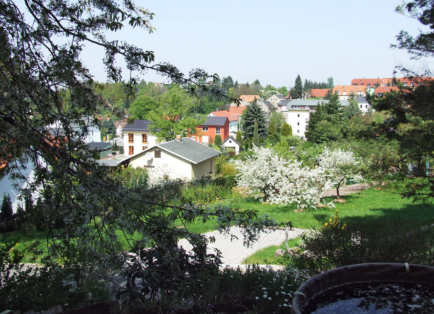 Fensterausblick