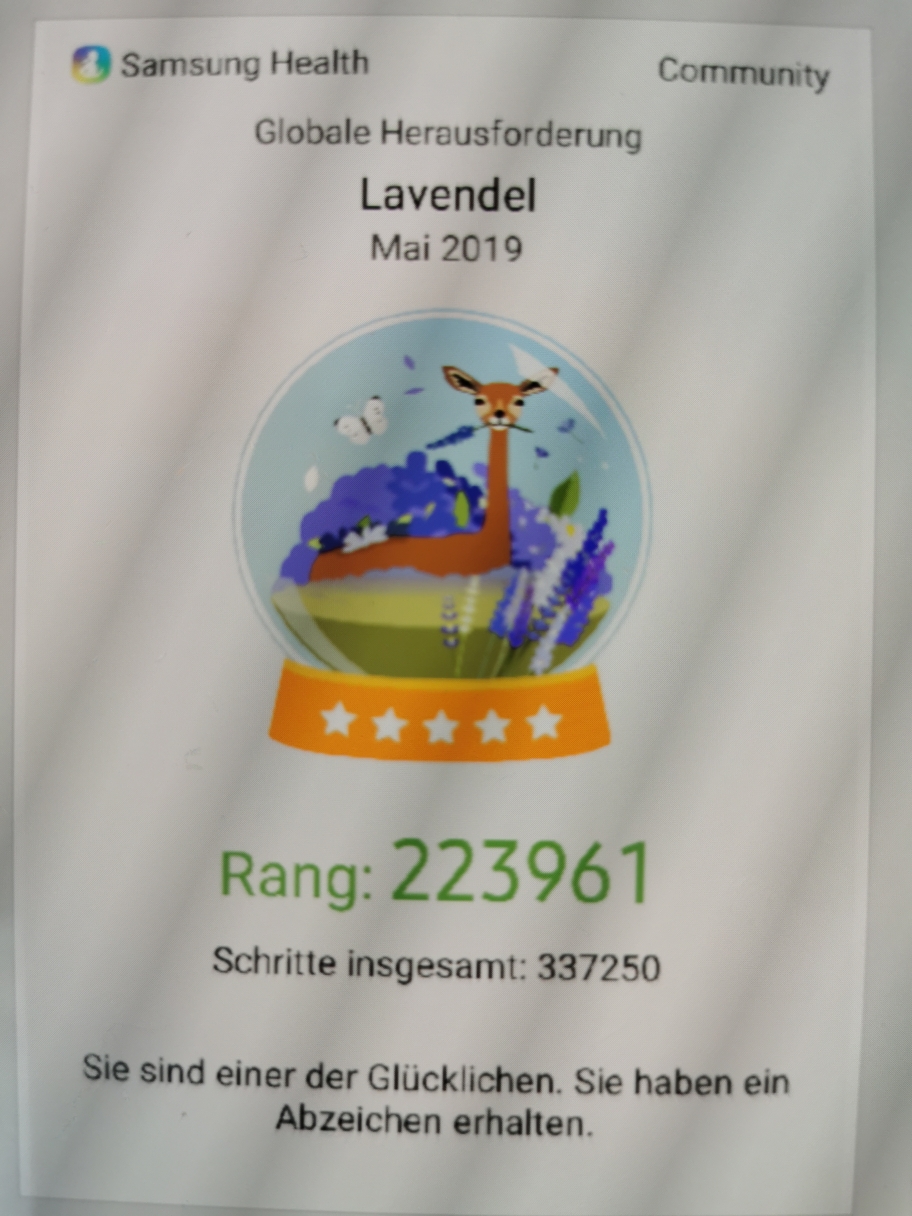 Die Lavendel Herausforderung 200000 Schritte in einem Monat