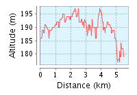 Bad Godesberg Frühlingslauf 2019