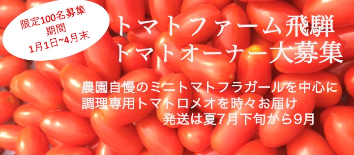 自然栽培トマト専門トマト狩り&通販 トマトファーム飛騨 - 【自然栽培 ...