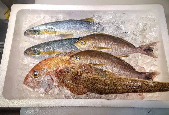 鮮魚の移動販売事業の収支改善