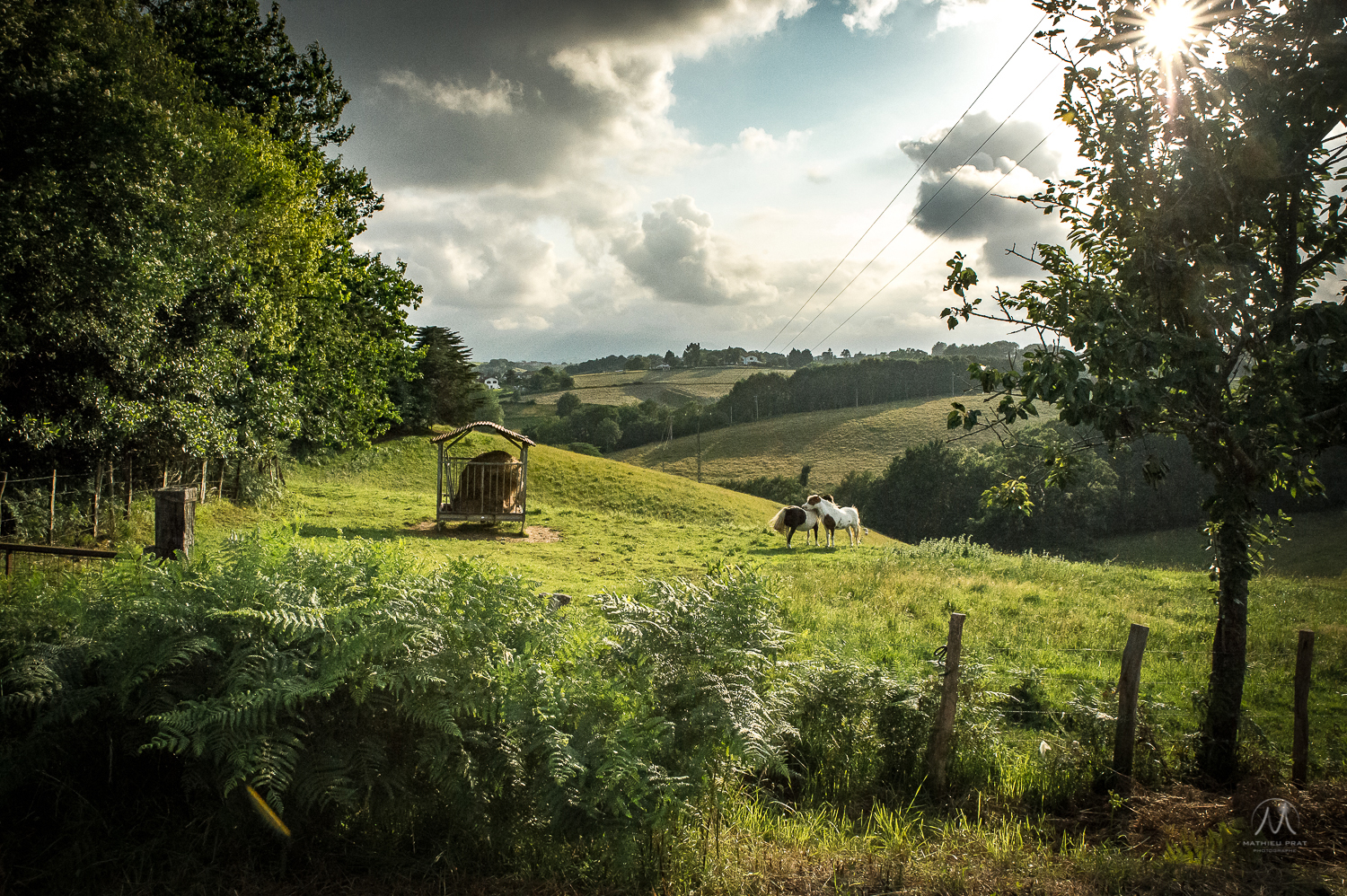 © Mathieu Prat photographe mariage - entreprise à Bayonne au Pays Basque (64100)