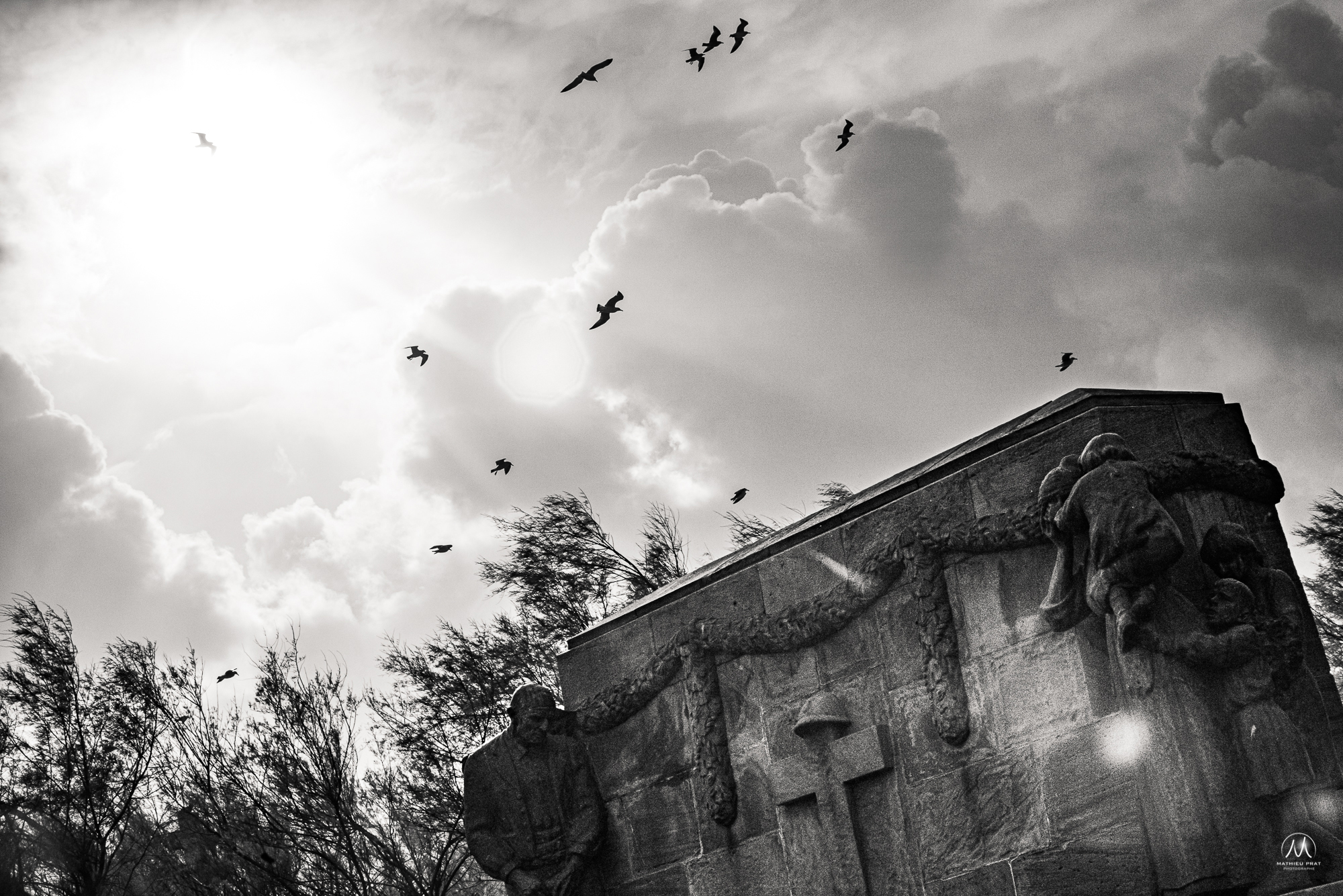 © Mathieu Prat photographe  à Bayonne au Pays Basque (64100)