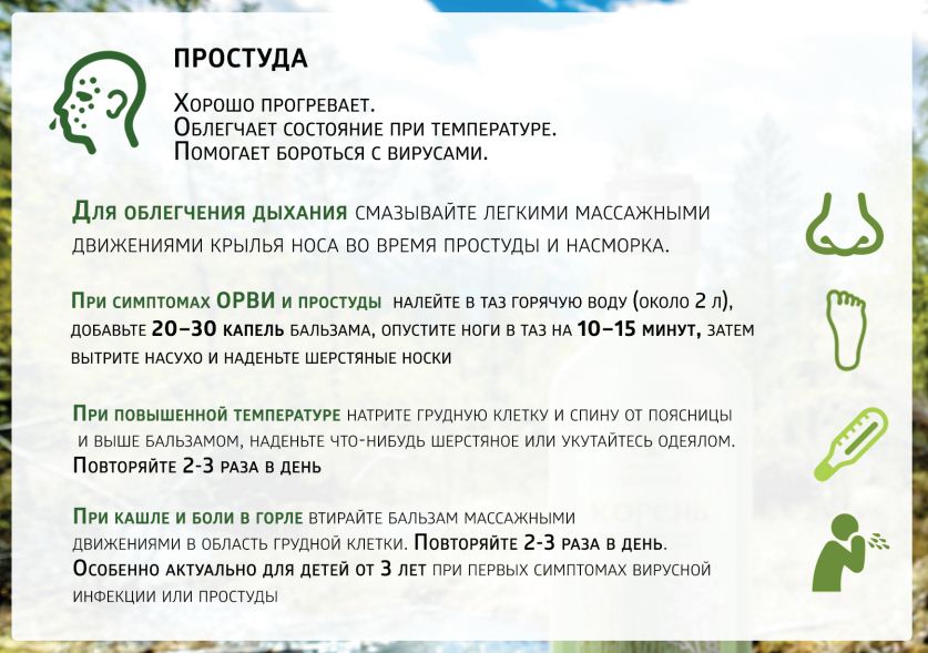 Корень Сибирское Здоровье Цена Купить