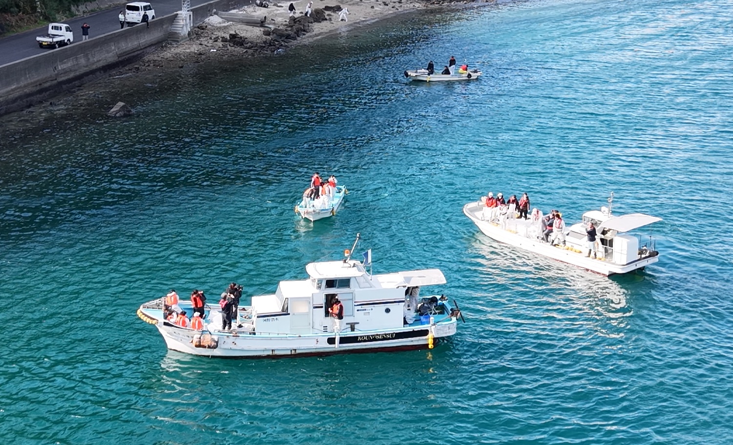 九島でクロメ育成試験に参加