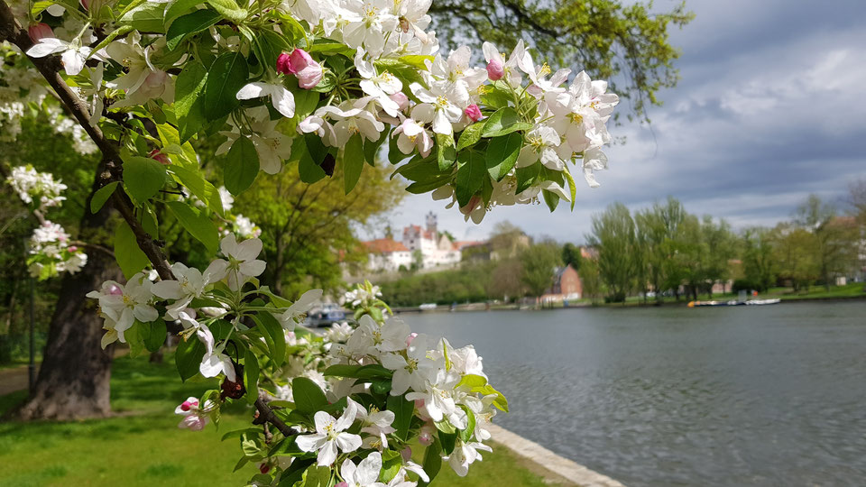 Frühlingshafte Temperaturen am Sonntag