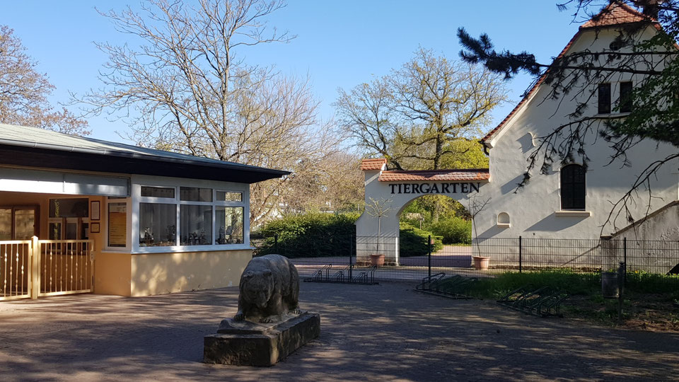 Jungtiere im Tiergarten Bernburg