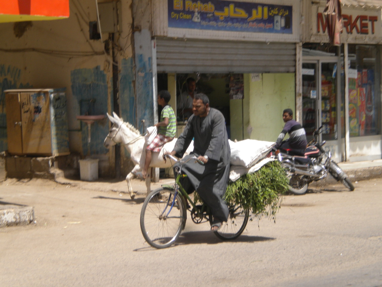 Wer sich keinen Esel leisten kann , liefert mit dem Fahrrad