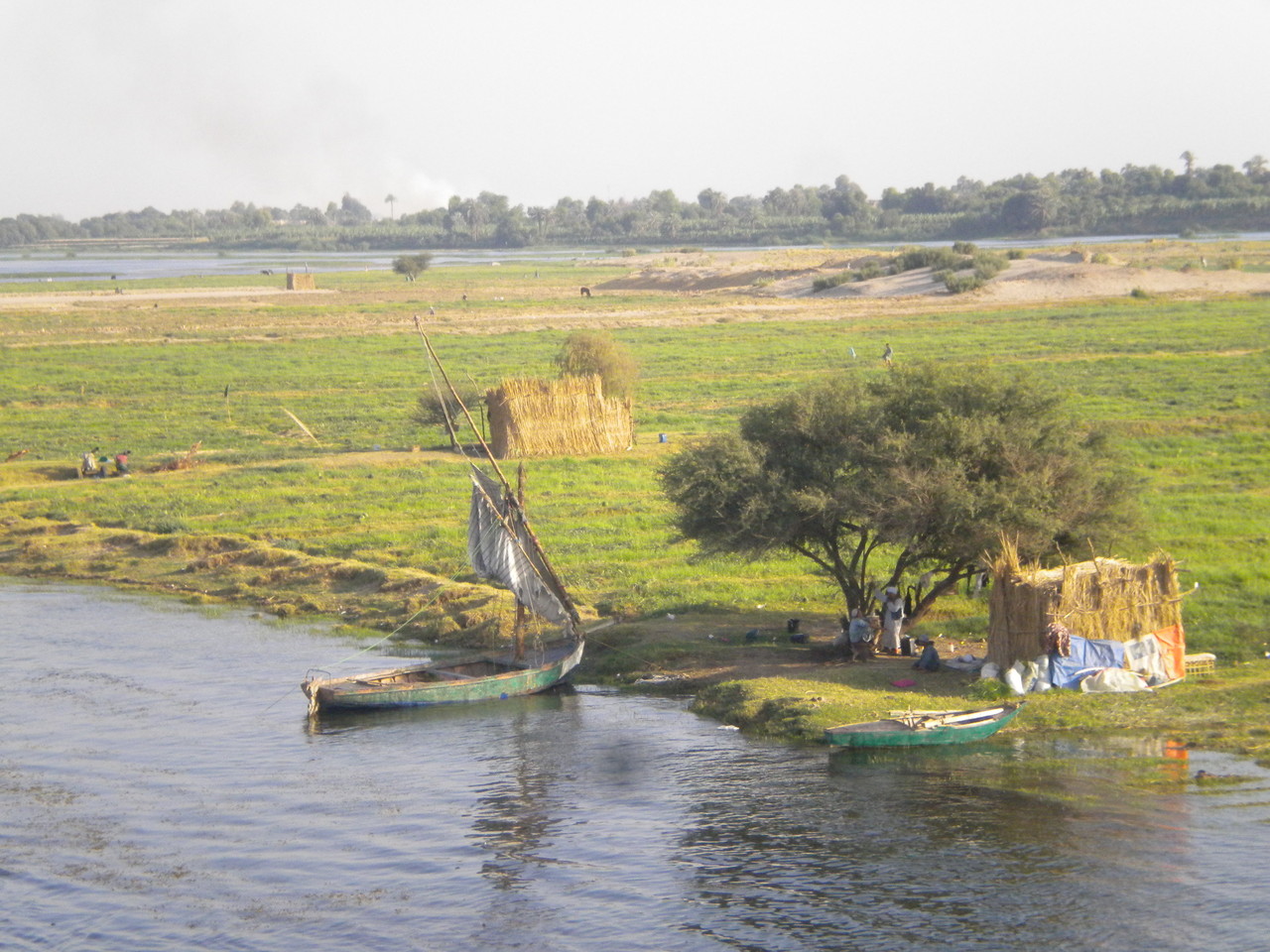 landwirtschaft am Nilufer