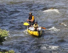 Canoë sur la Loire