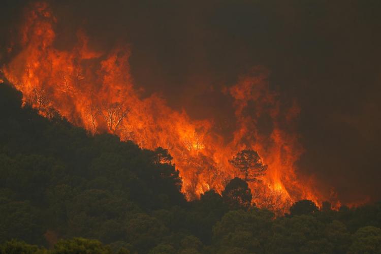 Пожары на Коста-дель-Соль