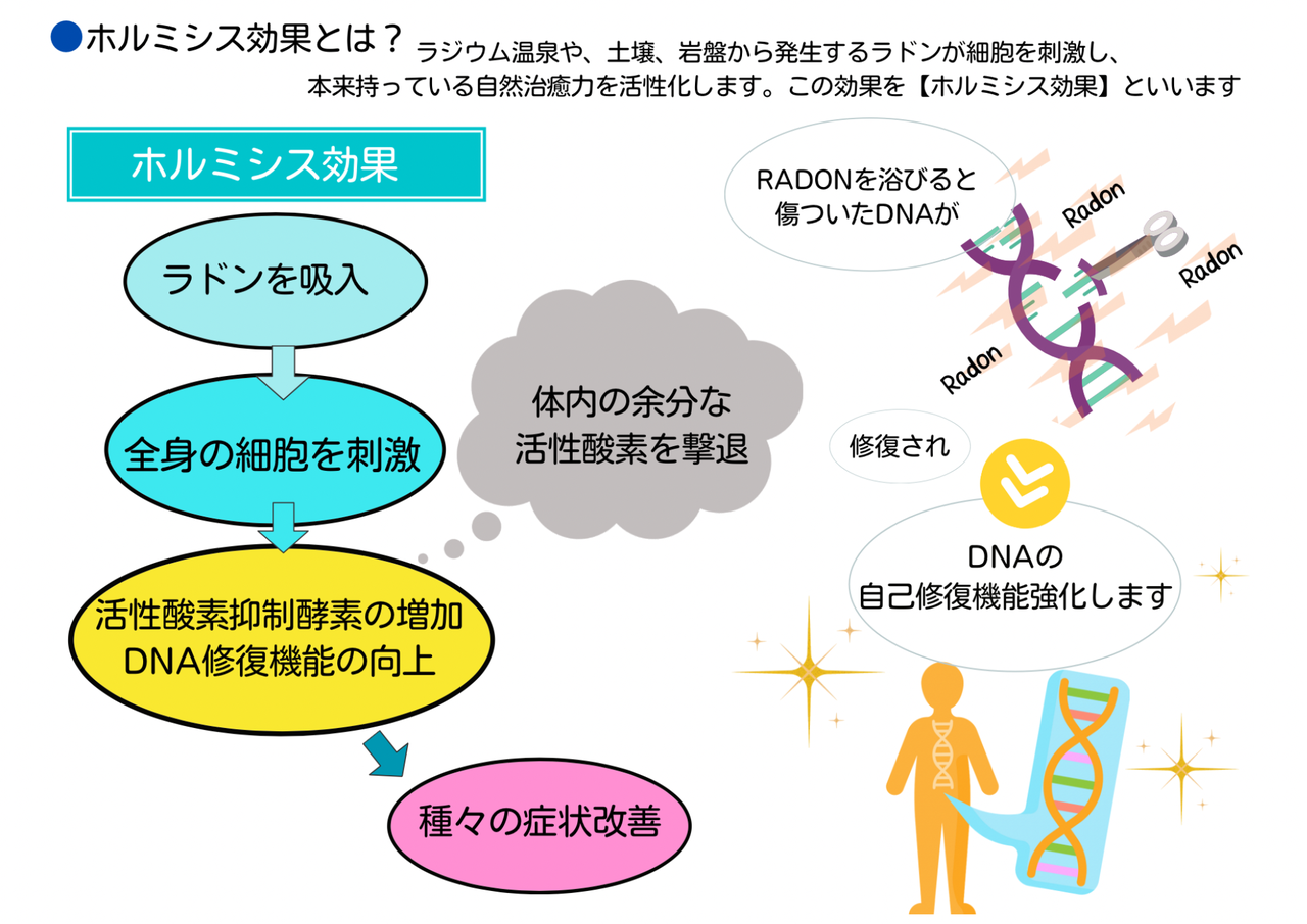 青の家ラジウムホルミシス