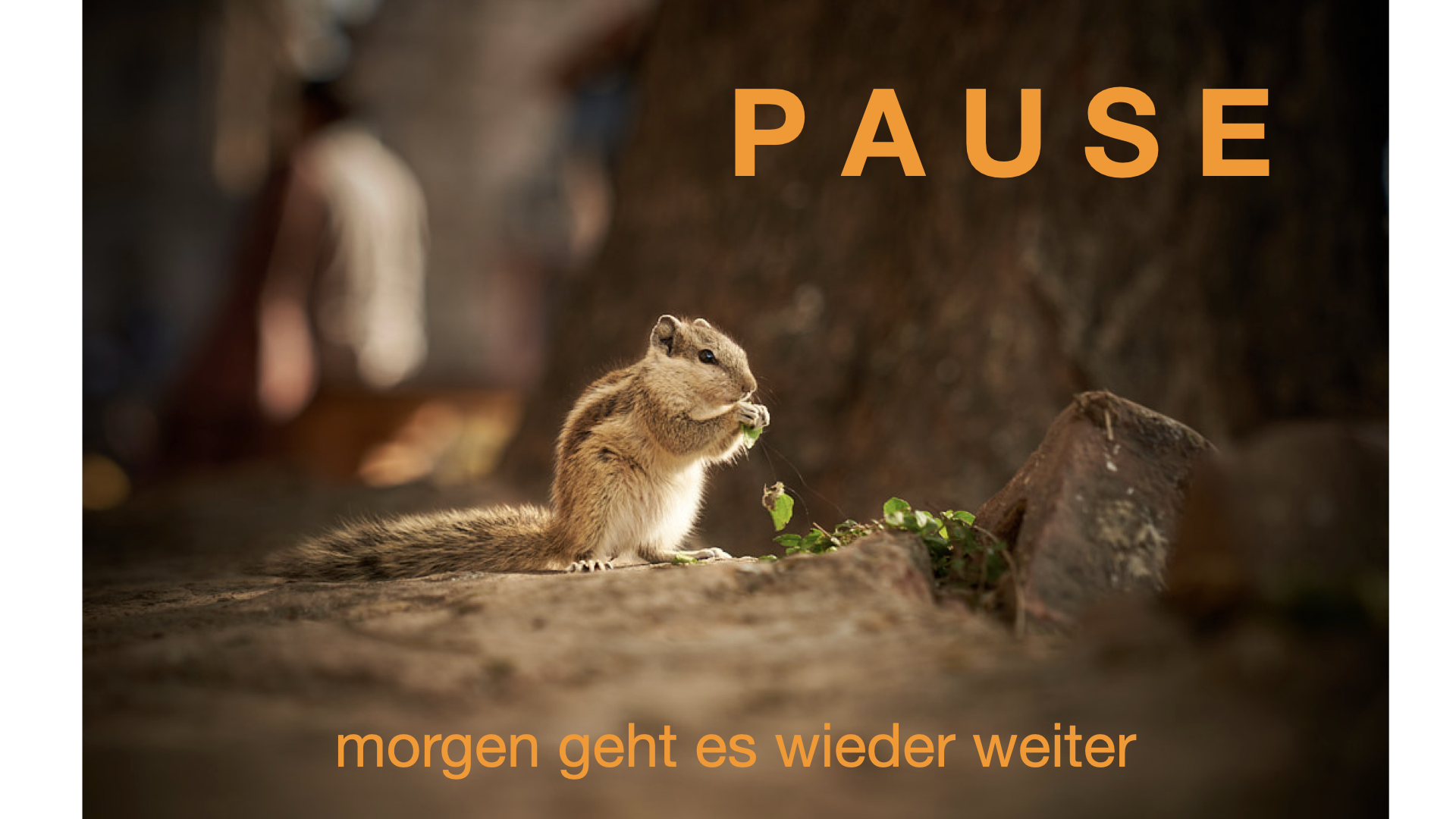 INDIEN 2015: Pause