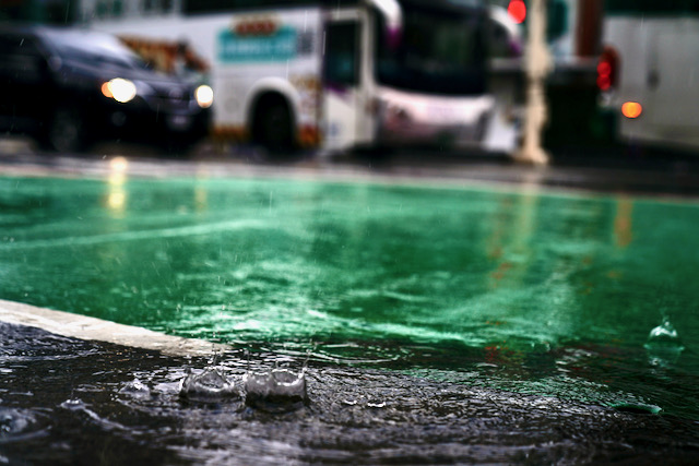 22.09.2024 - Regen, Regen, Regen, ...