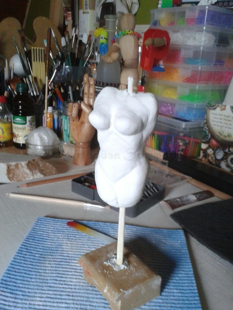 "Torso" von Danni Sommerig