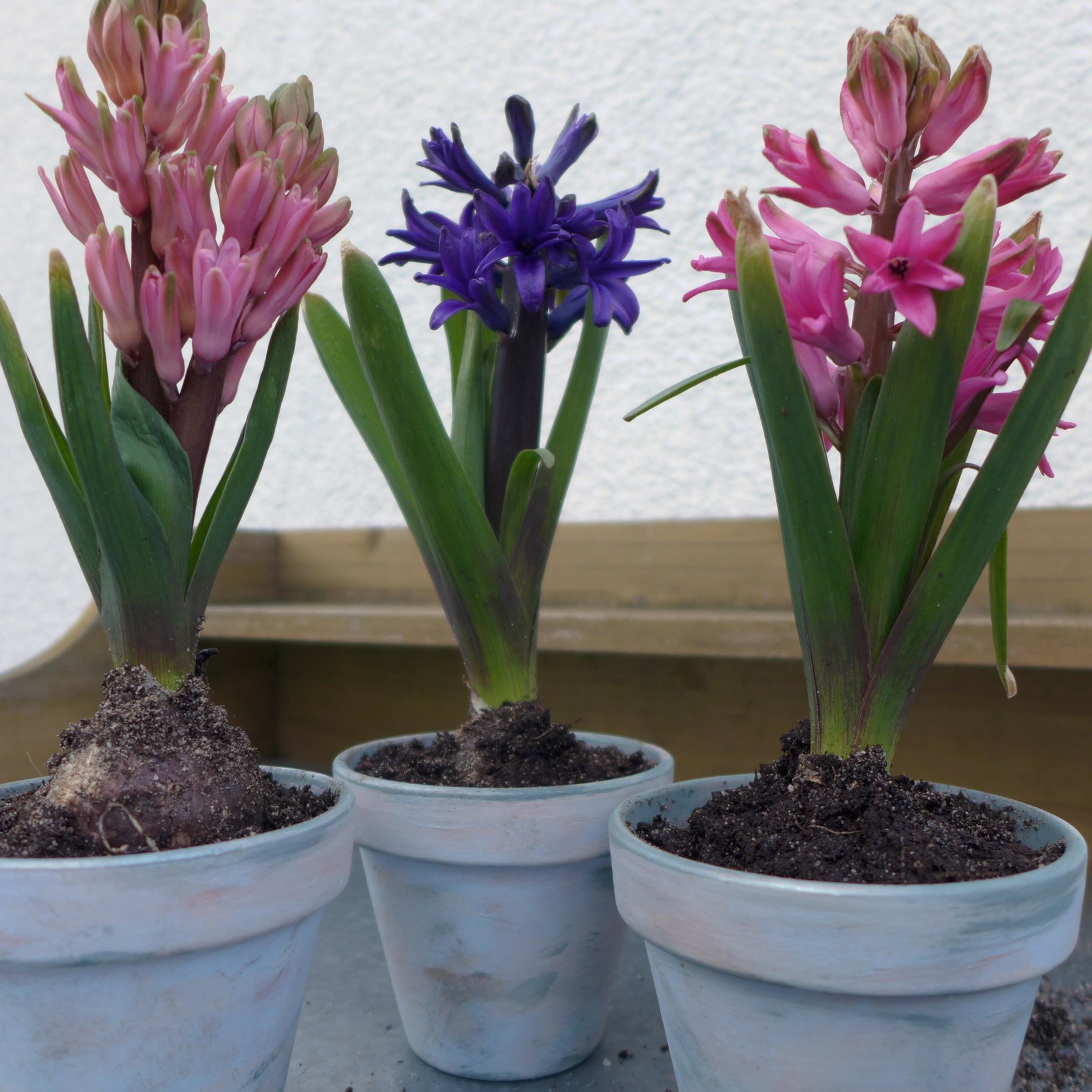 Garten Neuer Look Fur Tontopfe Tontopfe Mit Kreidefarbe
