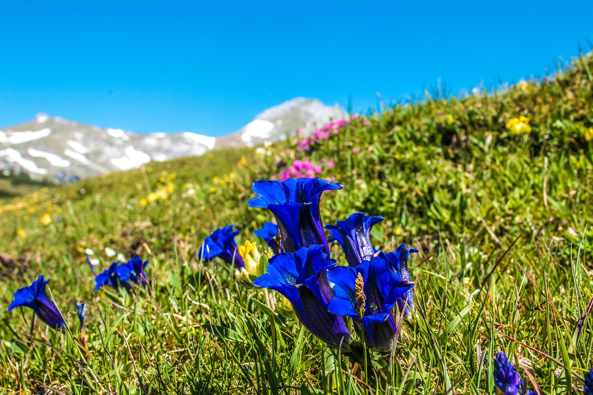 ein Sommer so wie früher