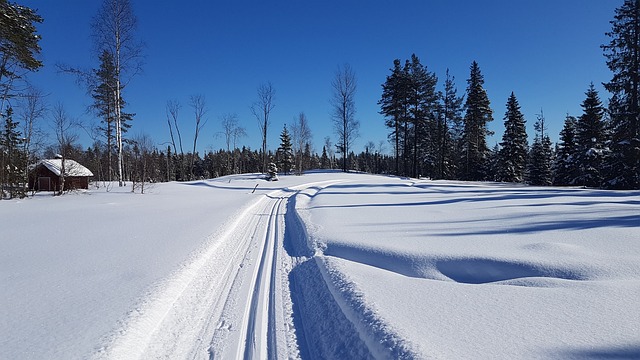 Langlaufen am Reschenpass
