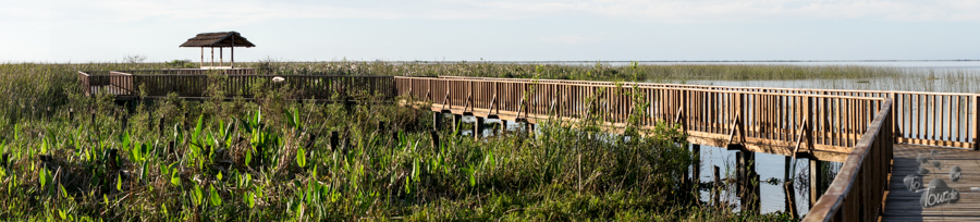 Esteros del Iberá