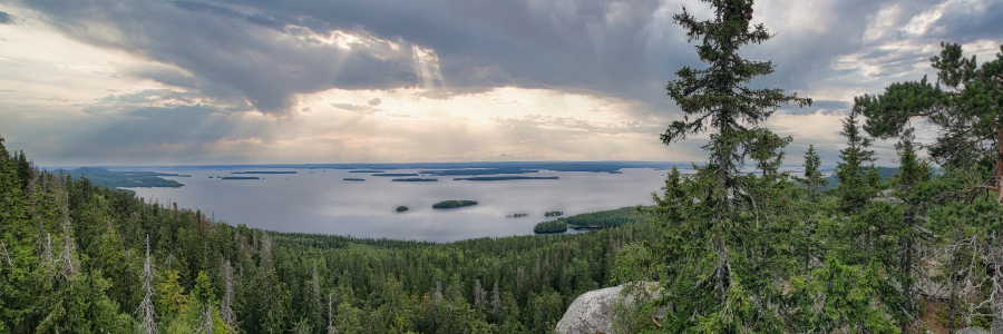 Blick vom Koli auf den Pielinen-See