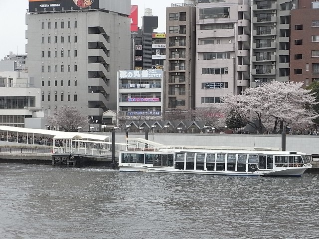 装いも新たに水上バス浅草桟橋、満席の盛況ぶりでした