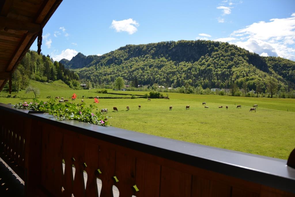 Balkon App. 4