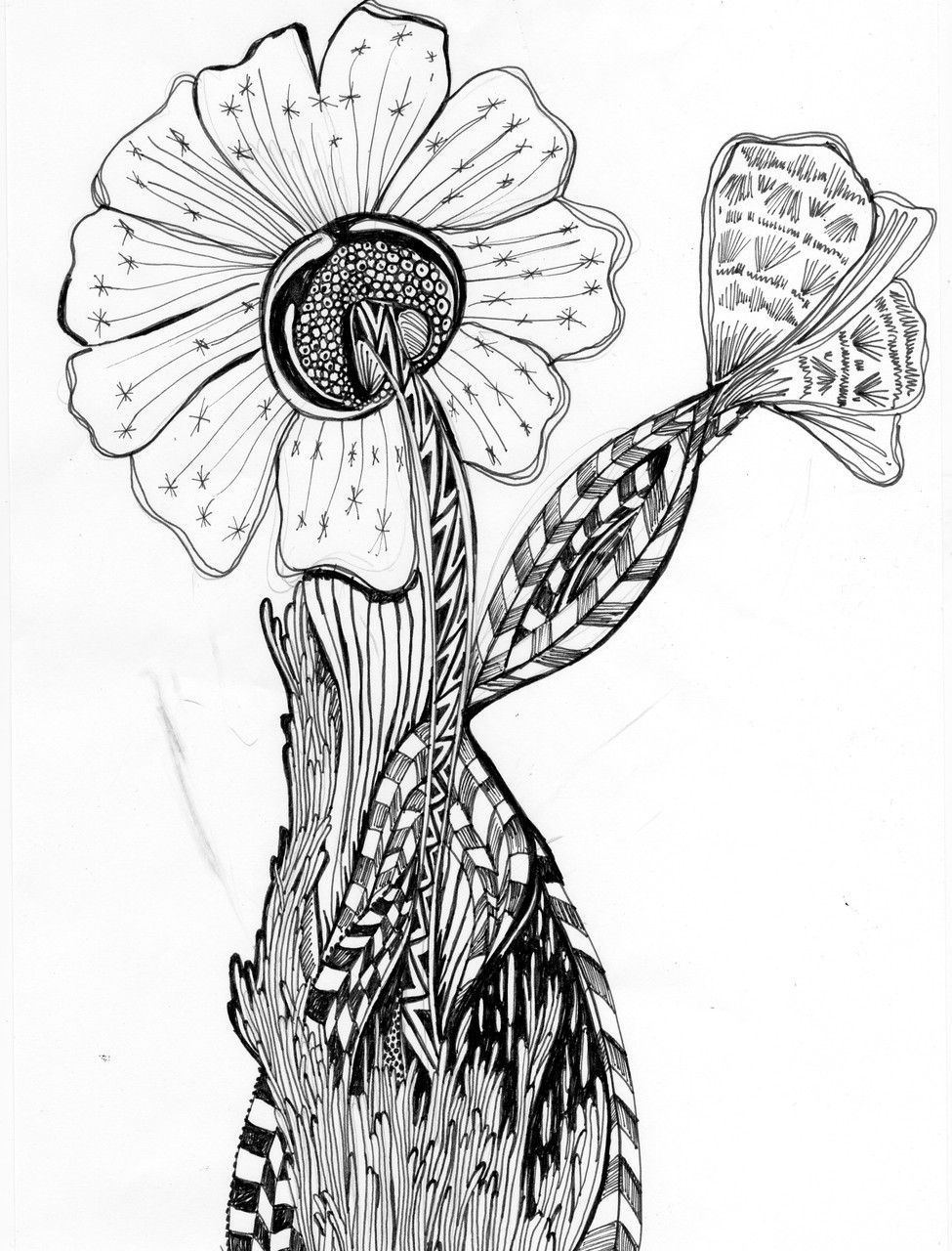 spring
