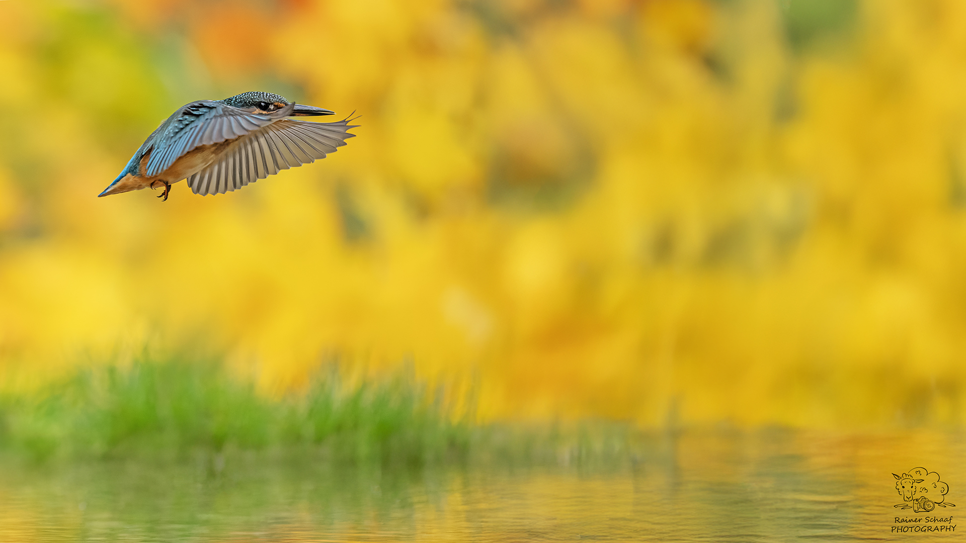 Willkommen im Herbst ...