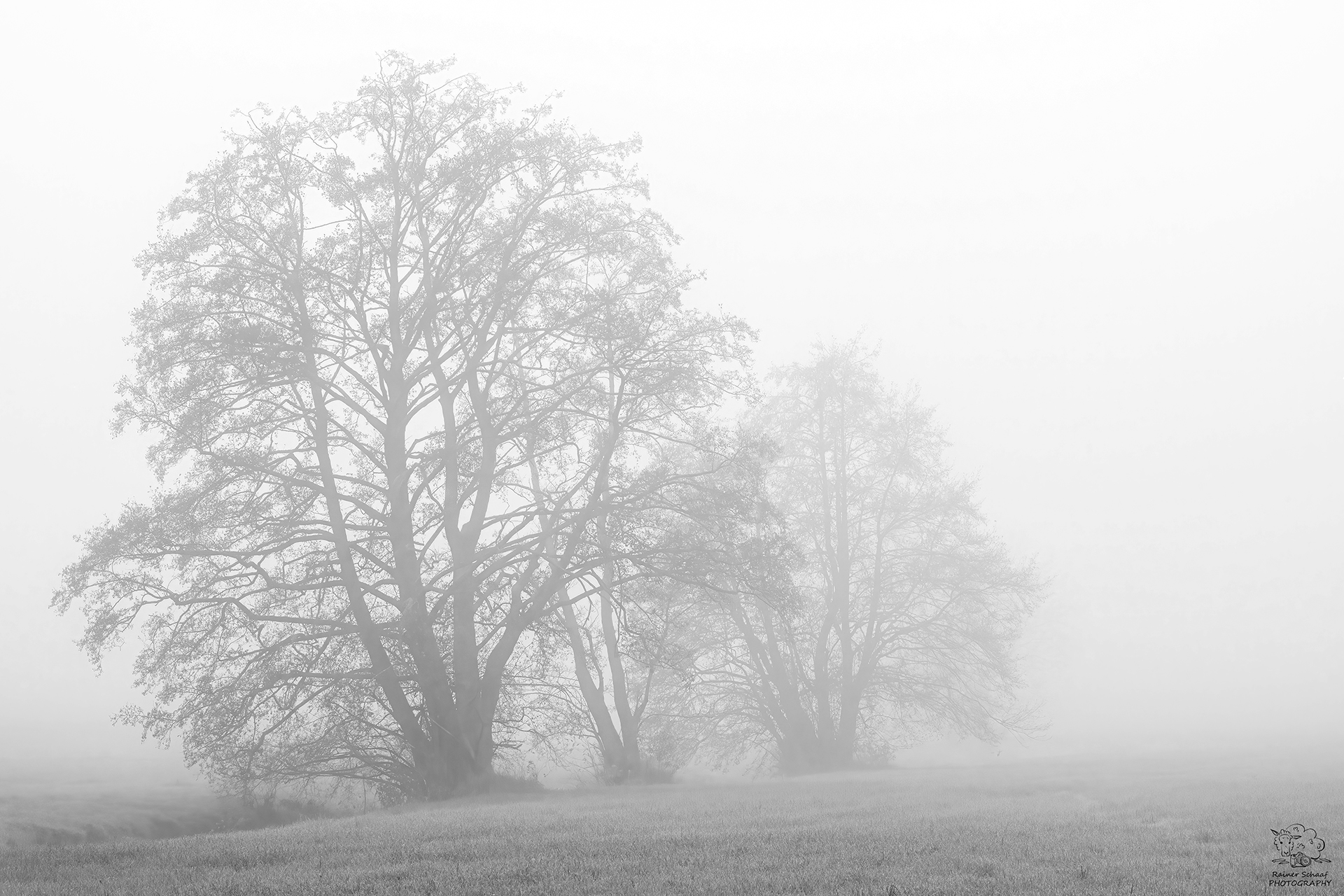 Nebel ...