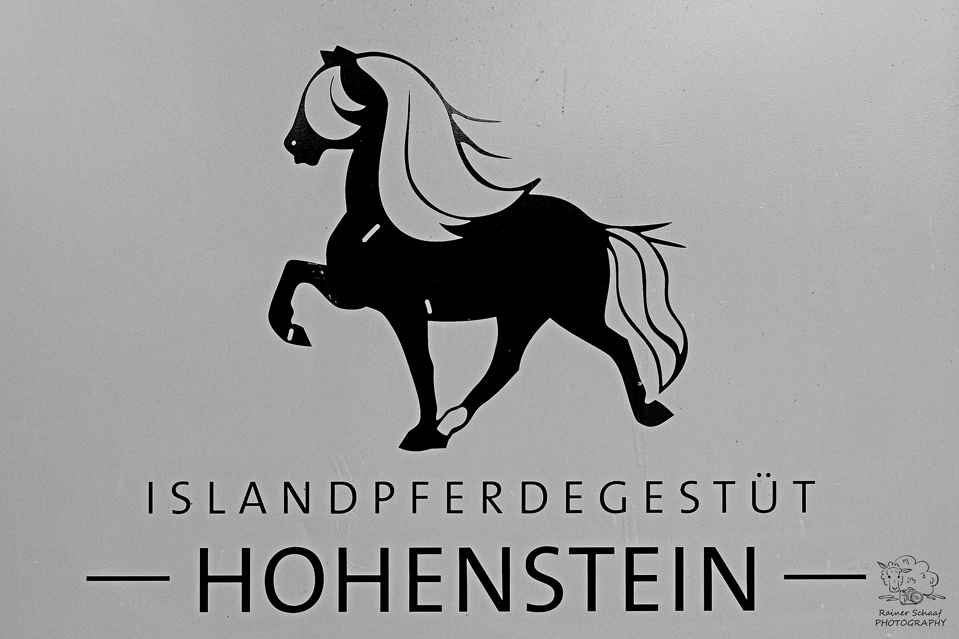 Islandpferdegestüt Hohenstein